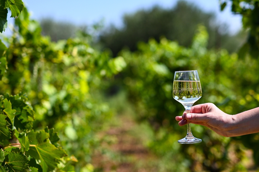 Franciacorta: types, characteristics and pairings